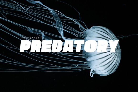 Predatory: The Bold Typeface for Dynamic Visual Impact
